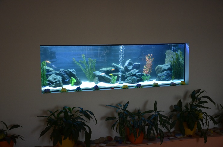 Akvárium rozmery 200x50x60cm | aquasymbioza.sk