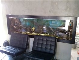 sli1